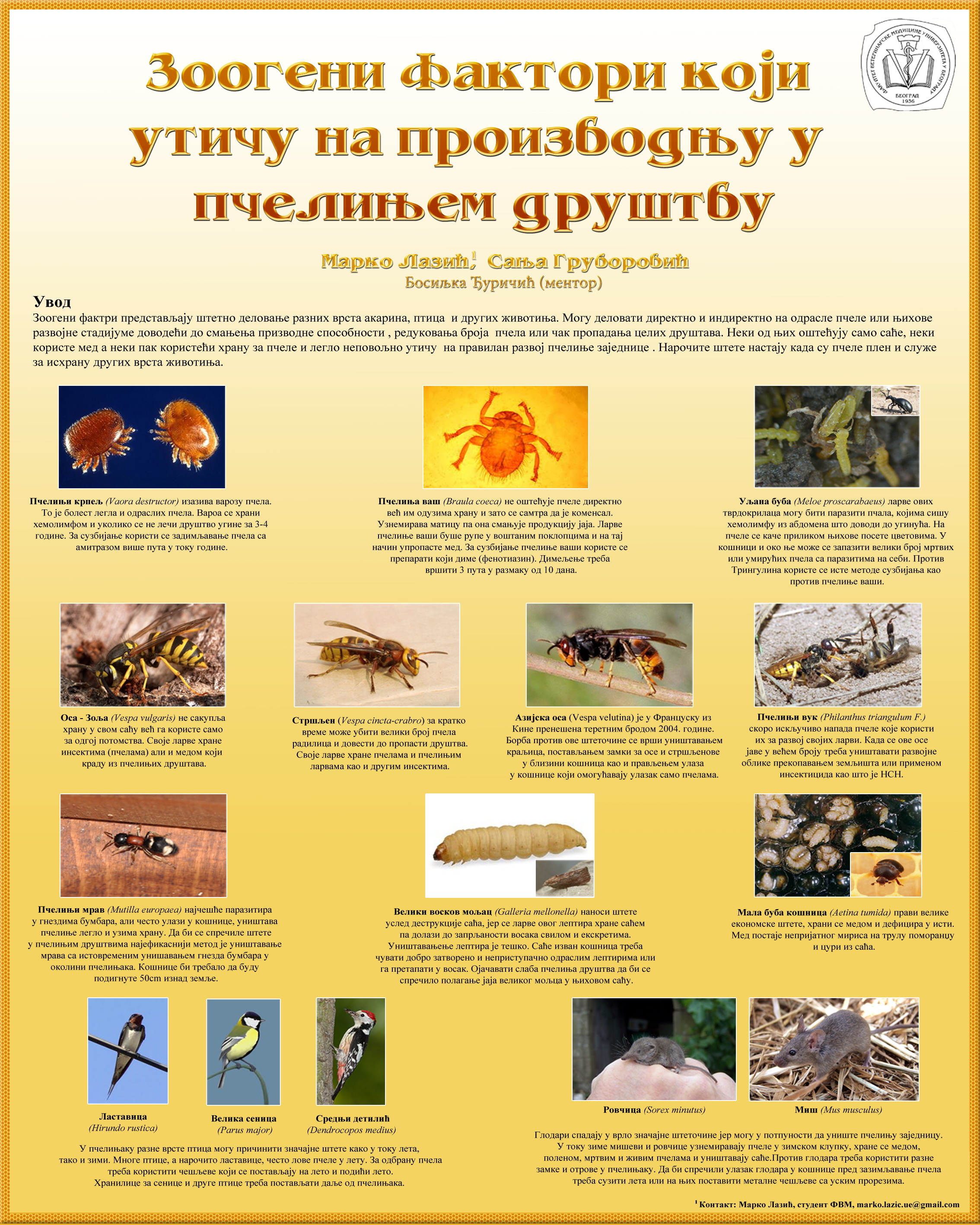 (2011.) Марко Лазић, Сања Груборовић. Zoogenic factors that affect on production in bee colony
